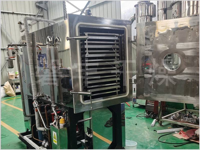 羊肚菌凍干機(jī)